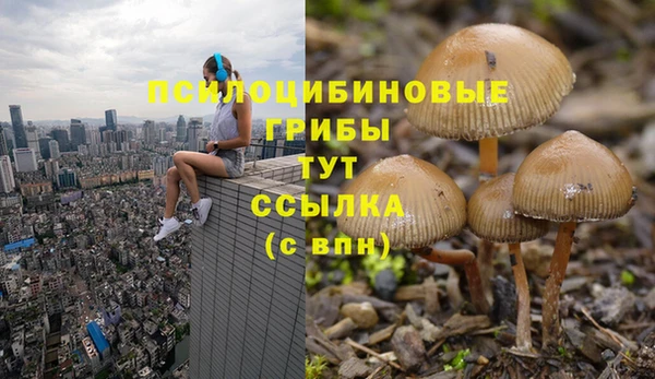 скорость mdpv Алексеевка
