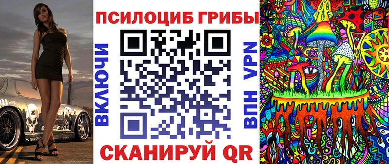 Псилоцибиновые грибы Psilocybe  МЕГА ТОР  Уяр 
